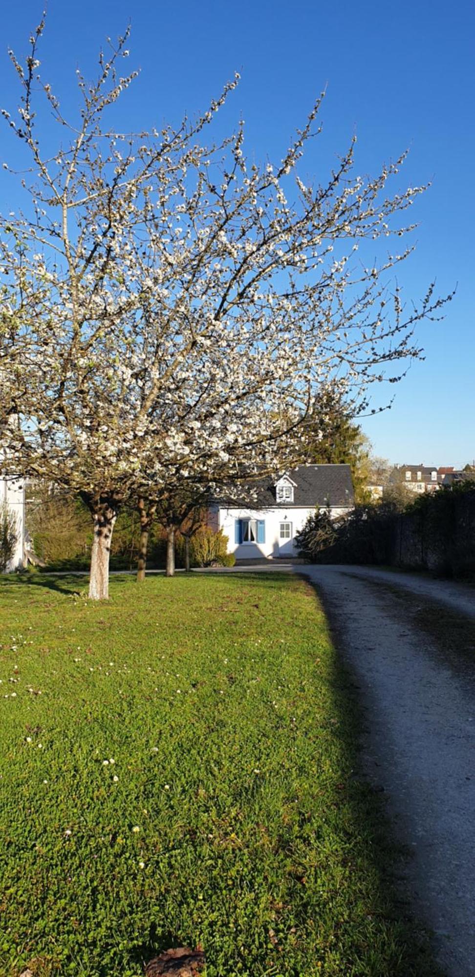 Gîte Le Fruitier Beaugency Exterior foto